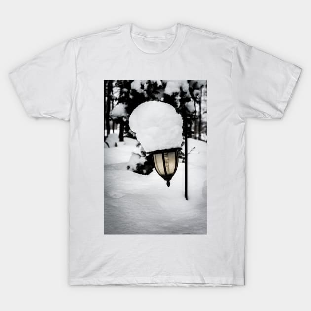 Snow Lantern 1 T-Shirt by Robert Alsop